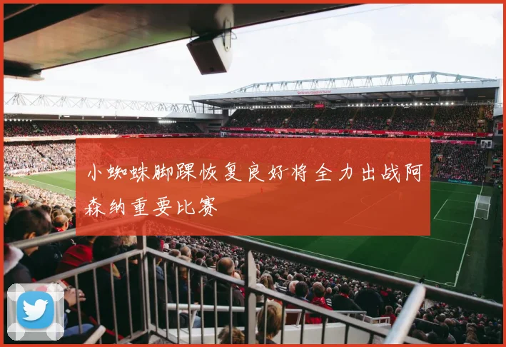 小蜘蛛脚踝恢复良好将全力出战阿森纳重要比赛