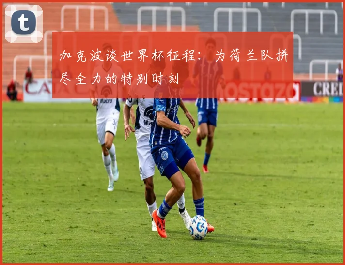加克波谈世界杯征程：为荷兰队拼尽全力的特别时刻